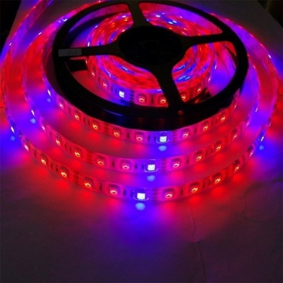 Material do corpo da lâmpada de arranque de sementes PC Led Grow Light Strip com 5050 Dc 12v/24v