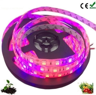 Material do corpo da lâmpada de arranque de sementes PC Led Grow Light Strip com 5050 Dc 12v/24v